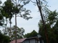 Tn PPTC 089